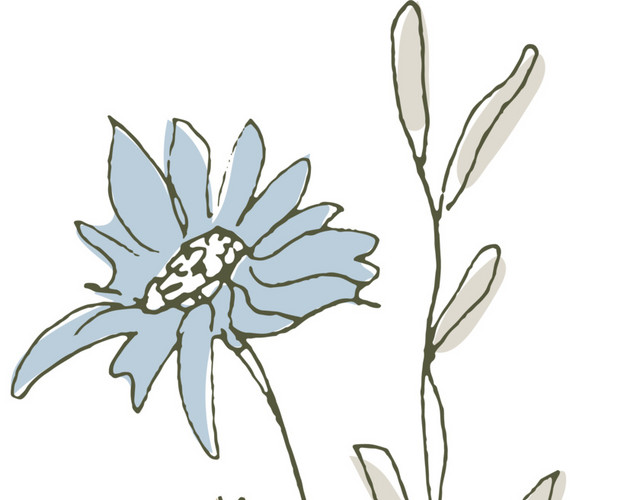 手绘素描花朵素材