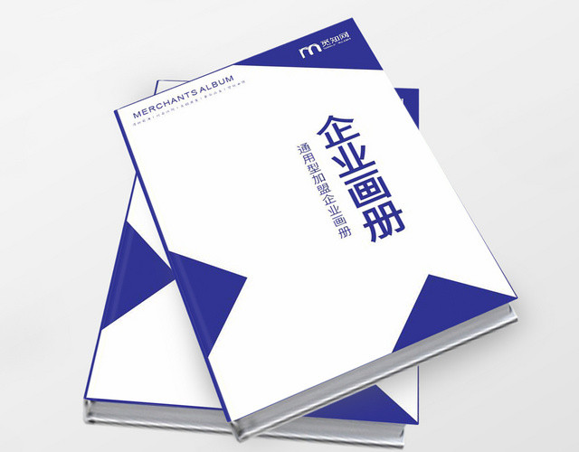 加盟合作通用型加盟企业画册