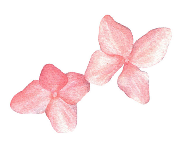 手绘粉色花瓣素材