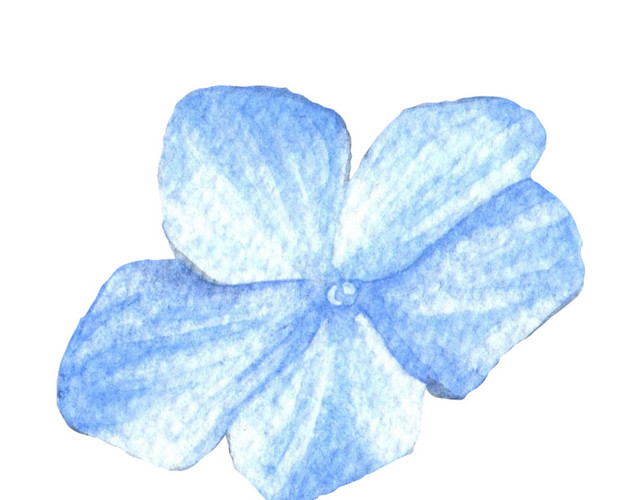 蓝色彩绘花瓣