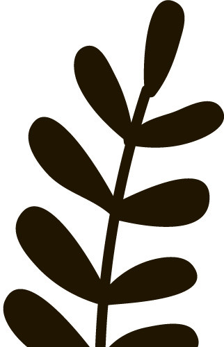 树叶简笔画