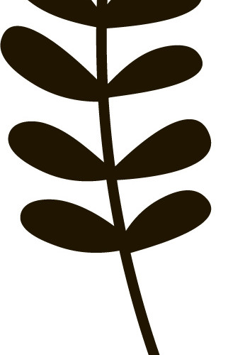 树叶简笔画
