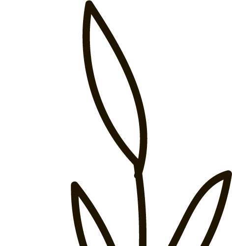 树叶简笔画