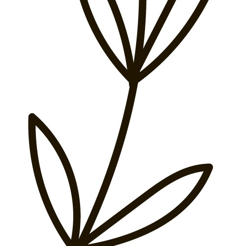树叶简笔画