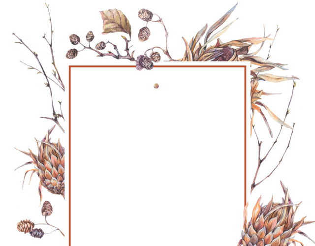 干花装饰边框