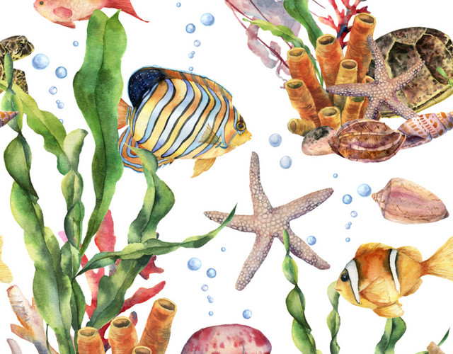 卡通海洋生物