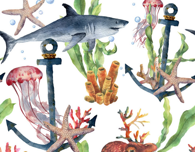 海洋生物