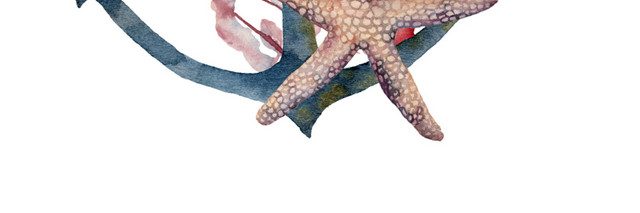 海底生物