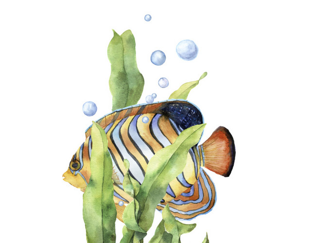 海底生物
