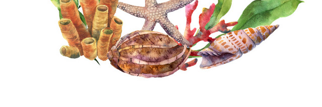 海洋生物