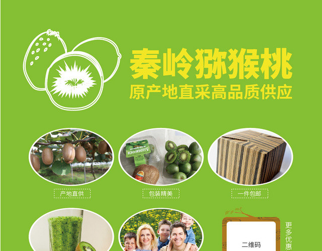 农业公司猕猴桃绿色水果介绍宣传单页设计
