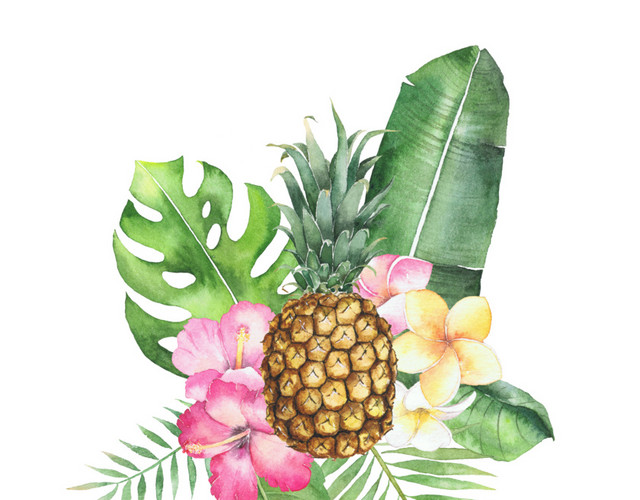 水彩水果植物组合