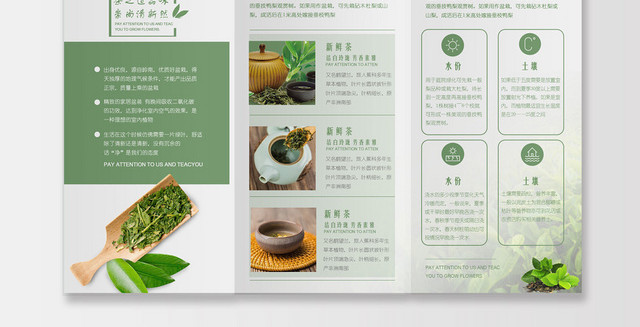 绿色简约茶之道美茶道茶叶三折页