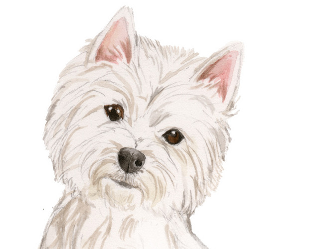 矢量手绘水彩可爱萌犬素材