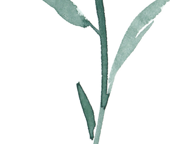 矢量手绘水彩蓝色清新花朵素材