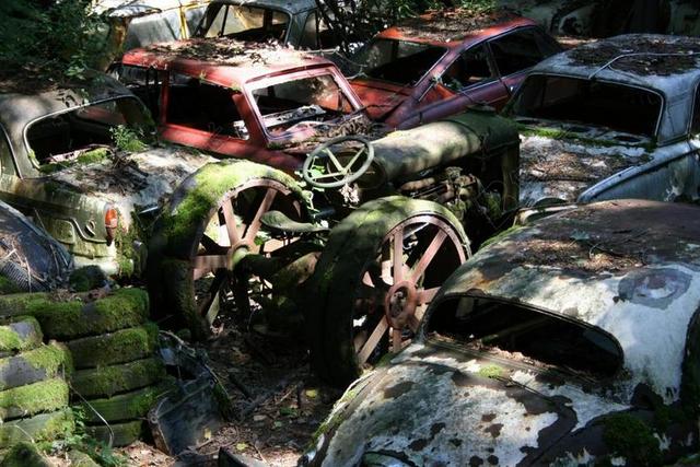 汽车 车公墓 老 铁锈 环境 污染 OLDTIMER