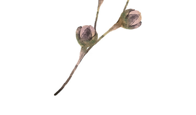 矢量清新手绘水彩花朵素材