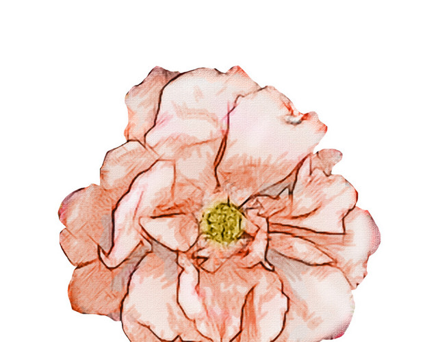矢量手绘水彩花朵素材