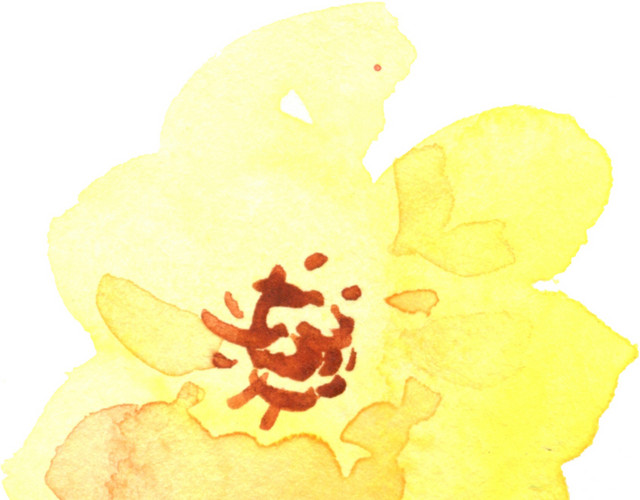 矢量清新手绘水彩小清新花朵素材