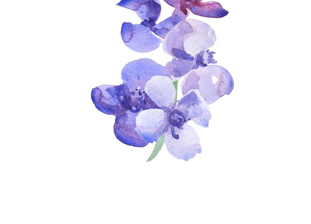 矢量清新手绘水彩紫色花朵素材