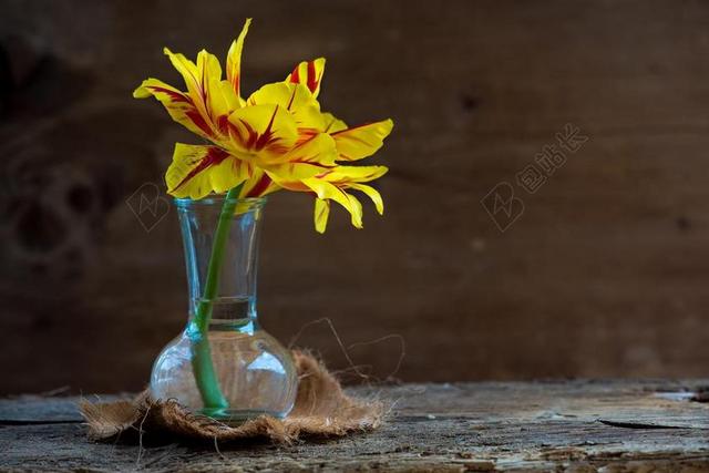 郁金香 花 开花 黄色红色 花瓶 玻璃 德卡 装饰 开放的花
