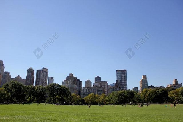 中央公园 纽约 旅行 公园 城市 现场 明确