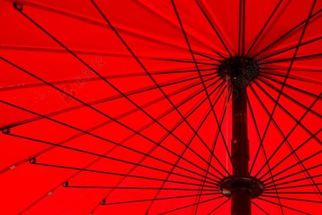 梧桐 太阳 假日 伞