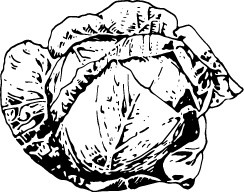 极简素描蔬菜矢量元素下载