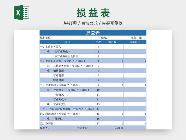 公司损益表设计