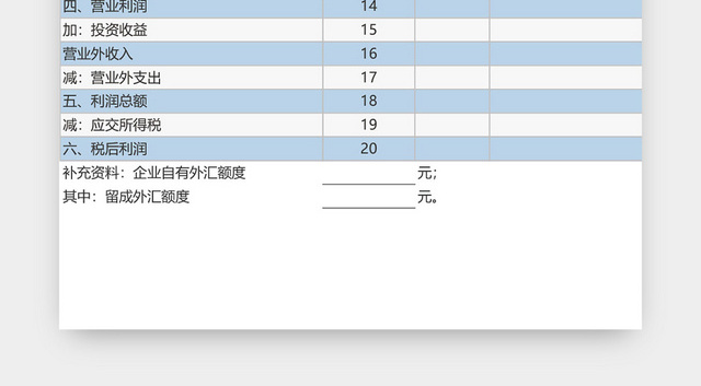 公司损益表设计