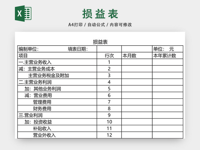 公司损益表设计