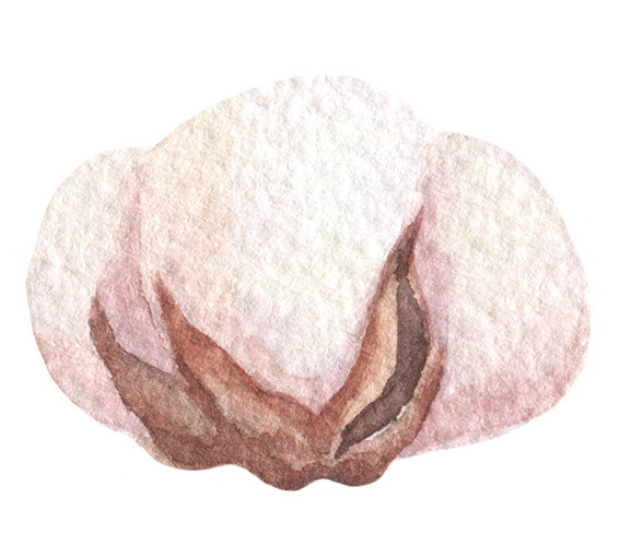 粉色木棉花矢量元素