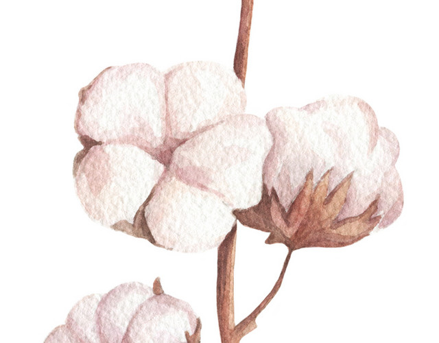 粉色木棉花矢量元素