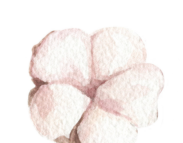 粉色木棉花矢量元素