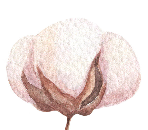 粉色木棉花矢量元素