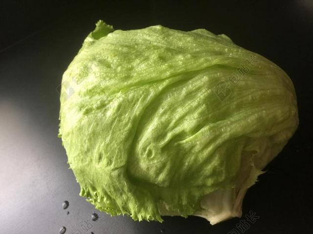 生菜 蔬菜 沙拉 新鲜 有机 健康 营养 原 素食主义者