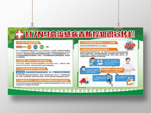 简约绿色H7N9禽流感病毒防控知识宣传栏健康宣传栏