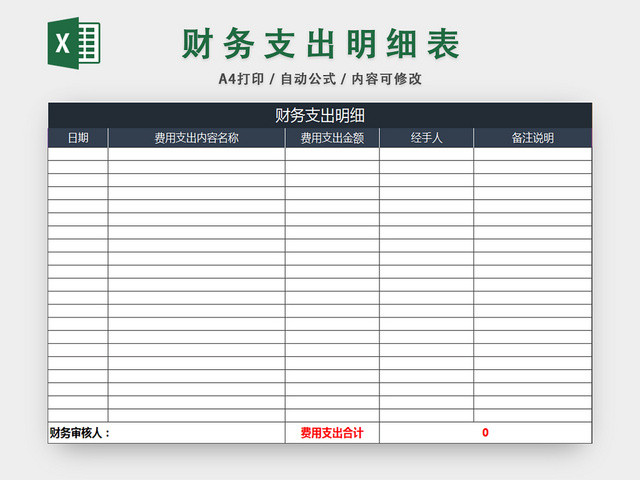 财务支出明细表