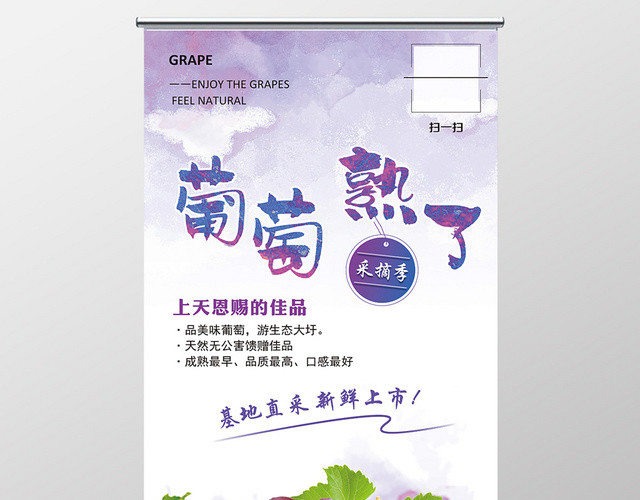 小清新葡萄熟了水果促销易拉宝X展架