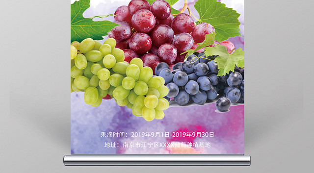 小清新葡萄熟了水果促销易拉宝X展架