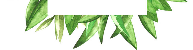 方形水彩树叶边框