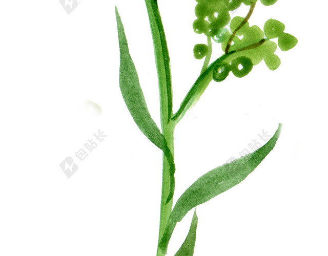绿花免抠素材