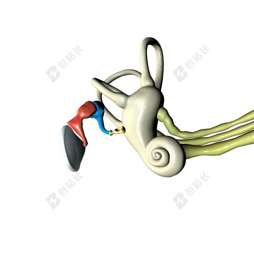 医学医疗耳解剖背景图片