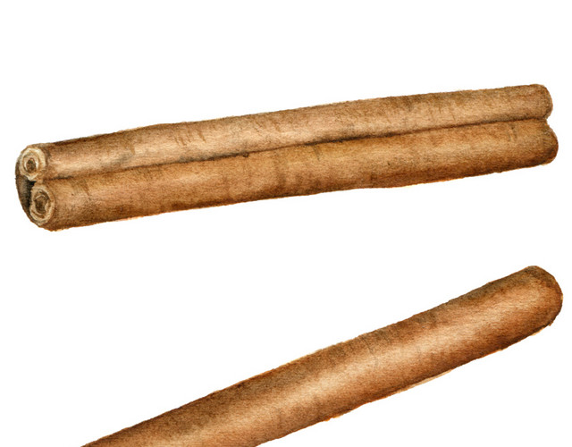 创意羊皮纸水彩矢量元素