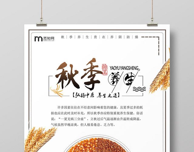 秋天白色简洁健康秋季养生之道海报