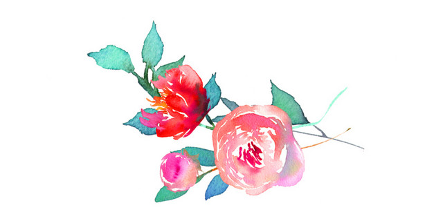 水彩花卉