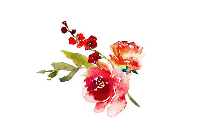 手绘水彩新鲜花卉