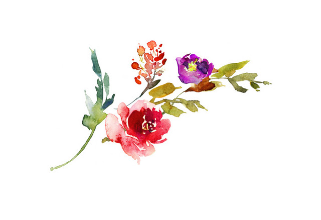 水彩手绘花卉