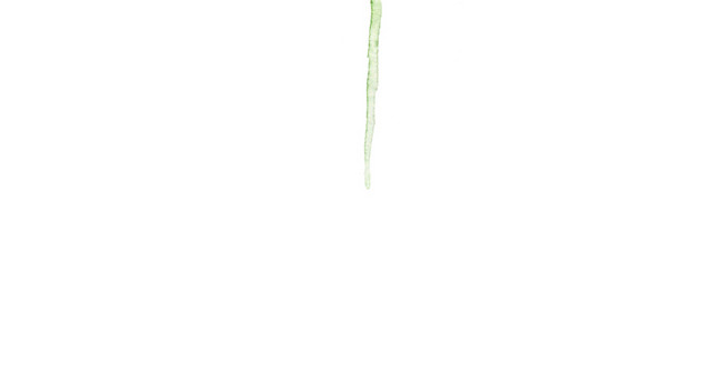 水彩玫瑰手绘