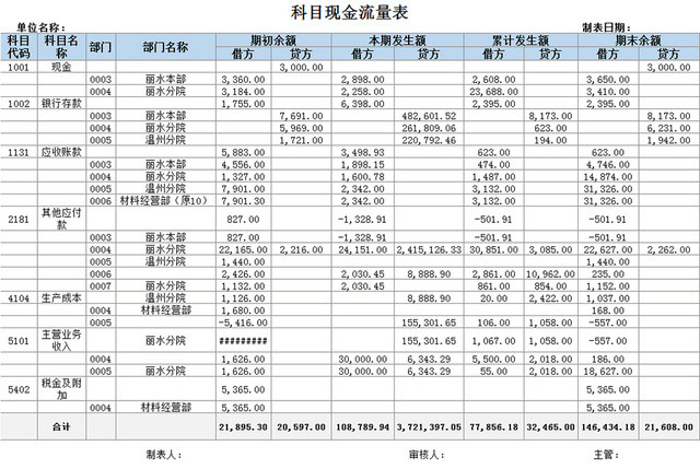 公司财务表格现金流量表